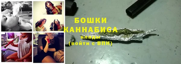 шишки Заволжье