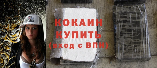 индика Наволоки