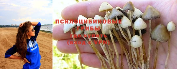 тгк Радужный
